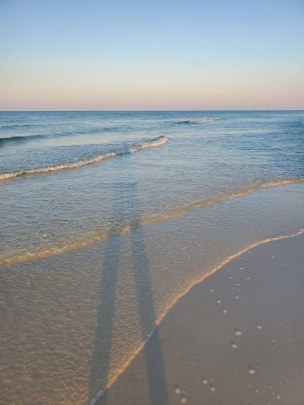 Best Roommate 2020 –&nbsp;Failure