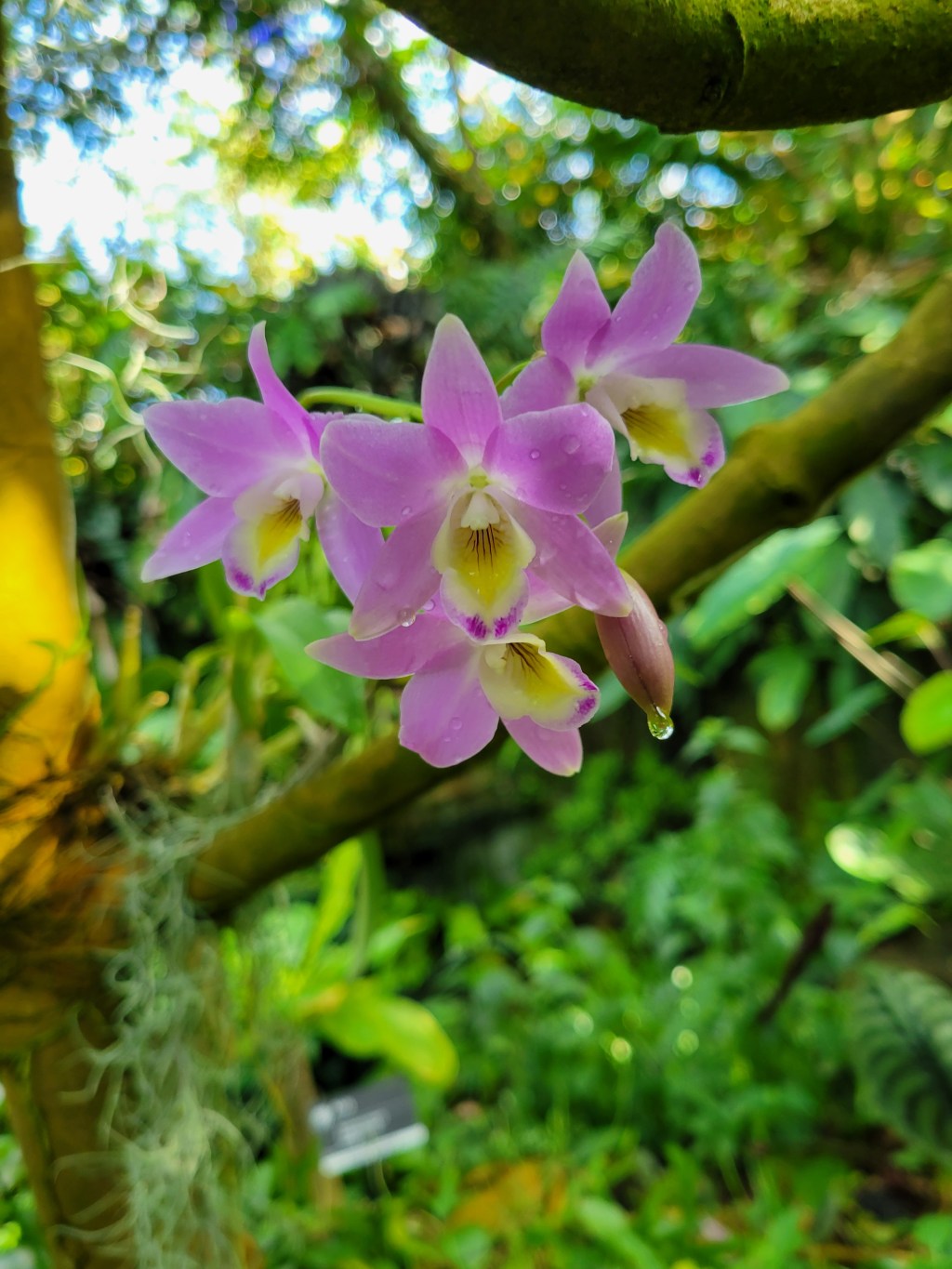 Yes, Because I Am&nbsp;Desperate