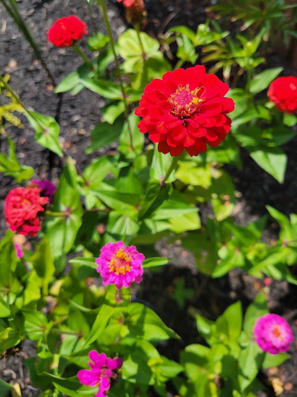 One State to&nbsp;Another